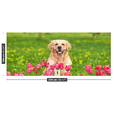 Wallpaper Dog tulips