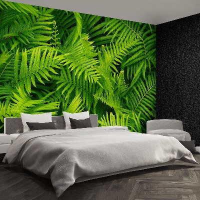 Wallpaper Green fern