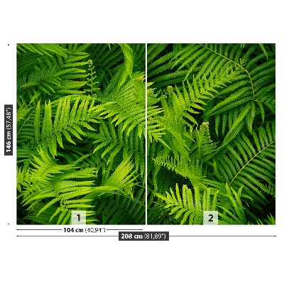 Wallpaper Green fern