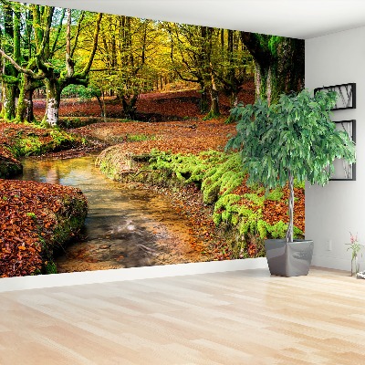 Wallpaper Autumn forest