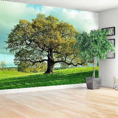 Wallpaper Oak