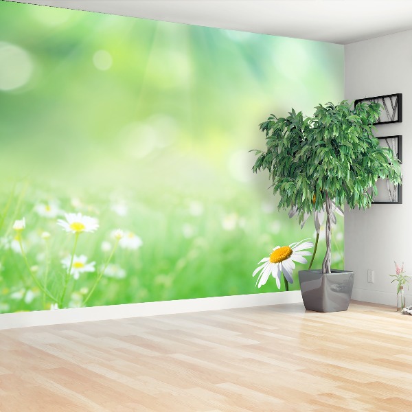 Wallpaper Green camomile