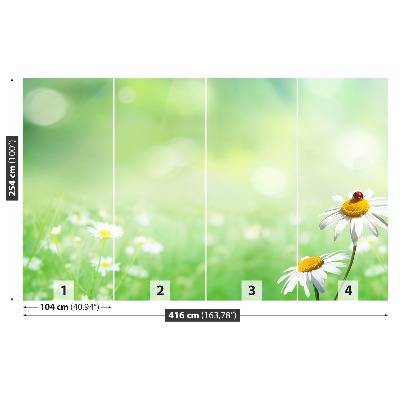 Wallpaper Green camomile