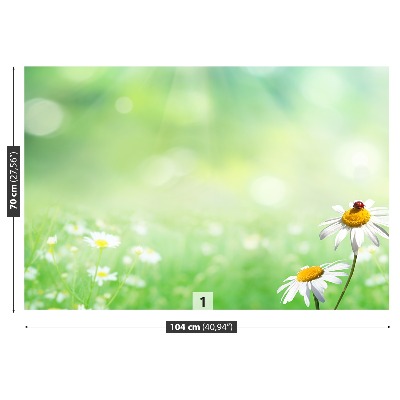 Wallpaper Green camomile