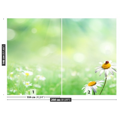 Wallpaper Green camomile