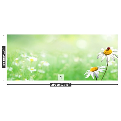 Wallpaper Green camomile