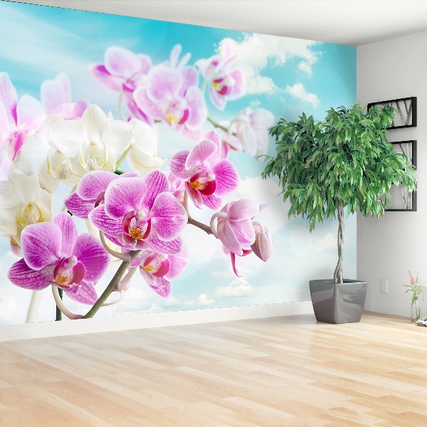 Wallpaper Orchids blue