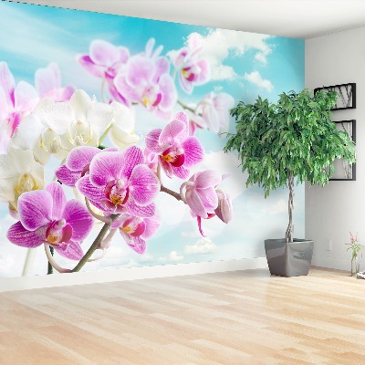 Wallpaper Orchids blue