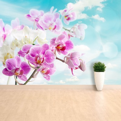 Wallpaper Orchids blue