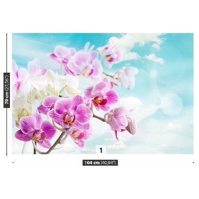 Wallpaper Orchids blue