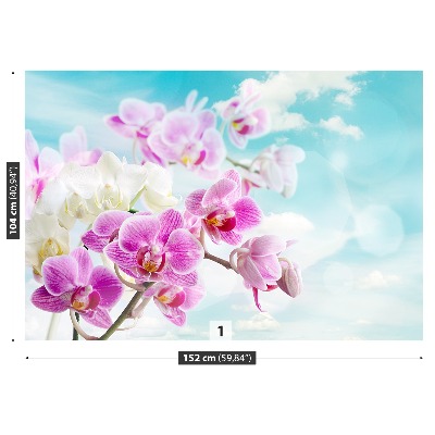 Wallpaper Orchids blue