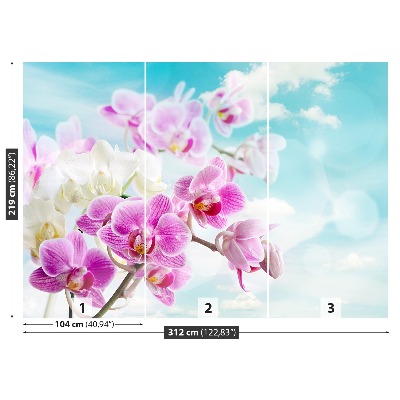 Wallpaper Orchids blue