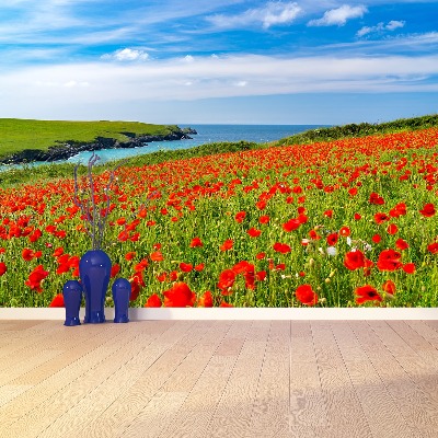 Wallpaper Field of poppies