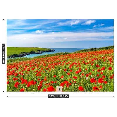 Wallpaper Field of poppies