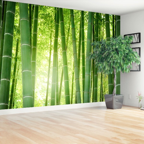 Wholesale Beautiful bamboo wallpaper 3d home decoration wall mural green  nature tree wall paper From m.alibaba.com
