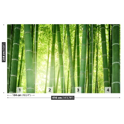 Wallpaper Bamboo forest