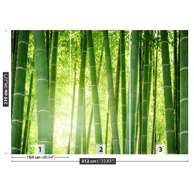 Wallpaper Bamboo forest