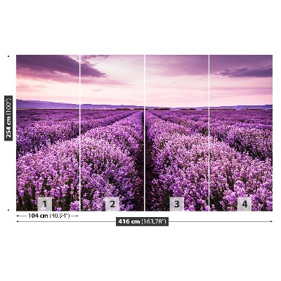 Wallpaper Blooming lavender