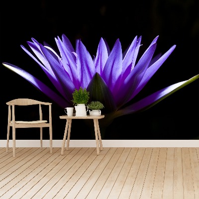 Wallpaper Purple lotus