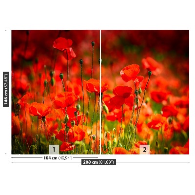 Wallpaper Poppies meadow