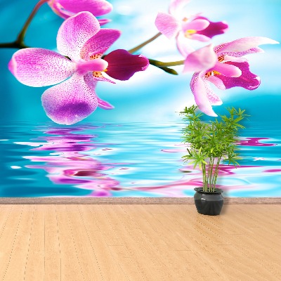 Wallpaper Orchid water