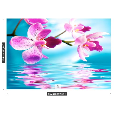 Wallpaper Orchid water