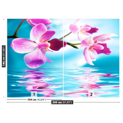 Wallpaper Orchid water