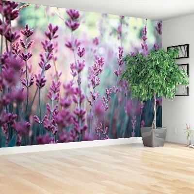 Wallpaper Lavender green