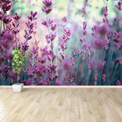 Wallpaper Lavender green