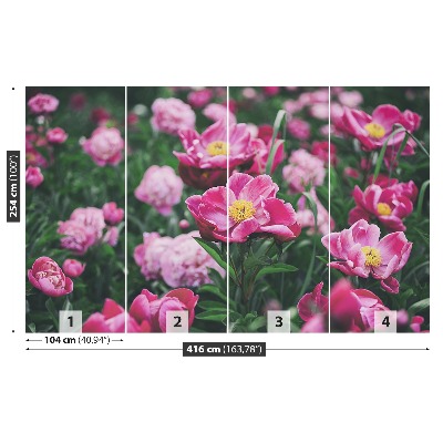 Wallpaper Pink peonies