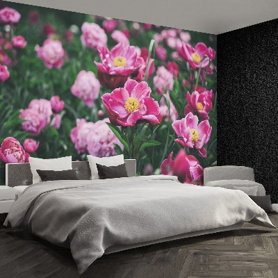 Wallpaper Pink peonies