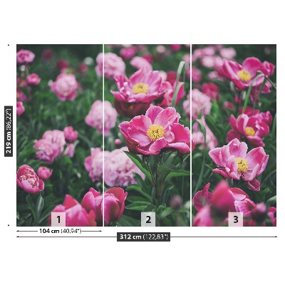 Wallpaper Pink peonies