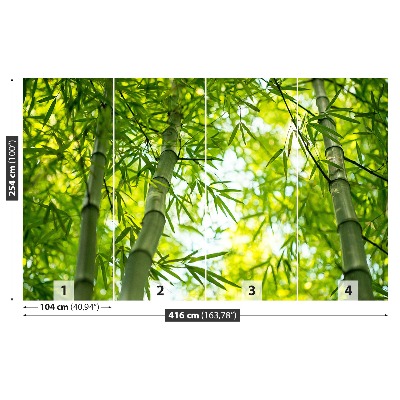 Wallpaper Bamboo branch