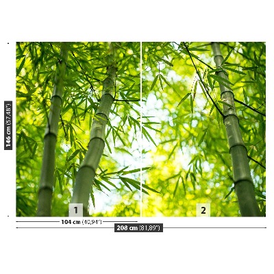 Wallpaper Bamboo branch