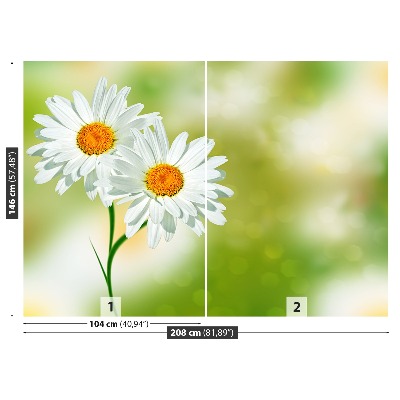 Wallpaper White chamomile