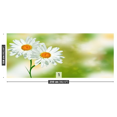 Wallpaper White chamomile