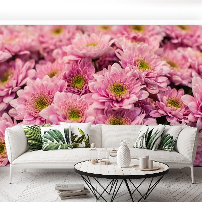 Wallpaper Pink chrysanthemums