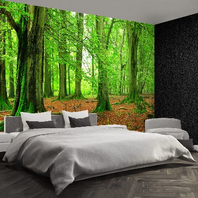 Wallpaper Forest