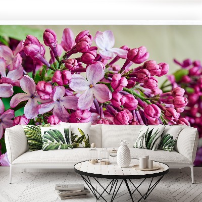 Wallpaper Pink lilies