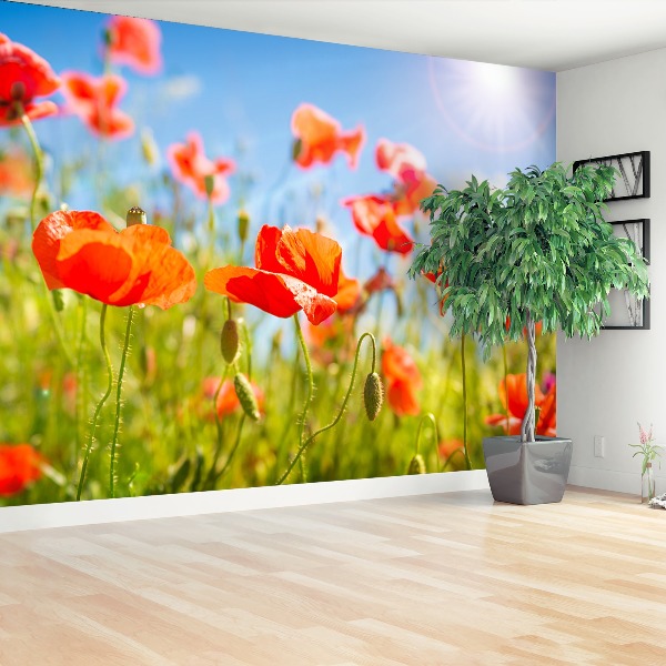 Wallpaper Red poppies