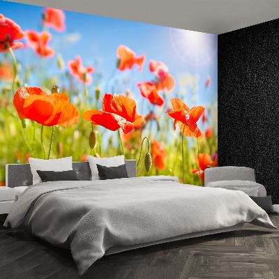 Wallpaper Red poppies