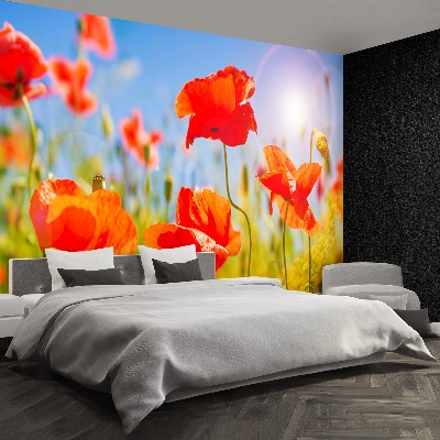 Wallpaper Red poppies