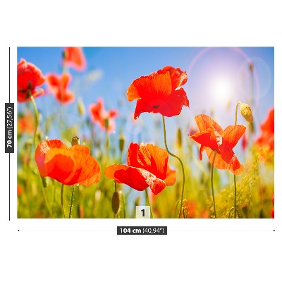 Wallpaper Red poppies