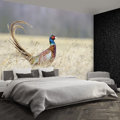 Wallpaper Pheasant