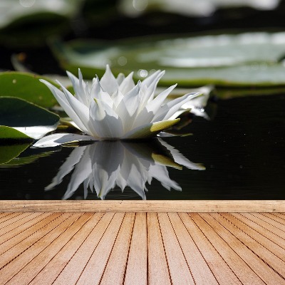 Wallpaper White lotus