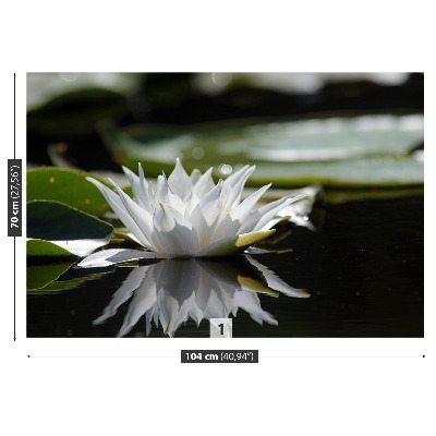 Wallpaper White lotus