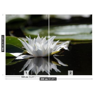 Wallpaper White lotus