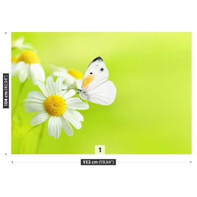 Wallpaper Butterfly and chamomile