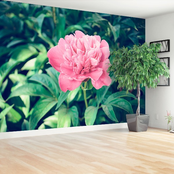 Wallpaper Pink peonies