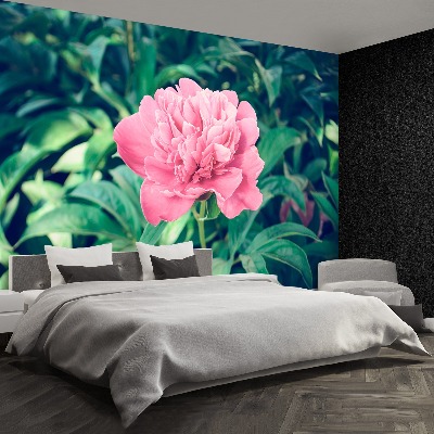 Wallpaper Pink peonies